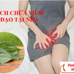 11 cách chữa viêm âm đạo tại nhà