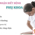 TOP 8 BỆNH PHỤ KHOA THƯỜNG GẶP NHẤT Ở CHỊ EM HIỆN NAY